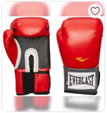 Everlast 1200008 Pro Style Training Gloves